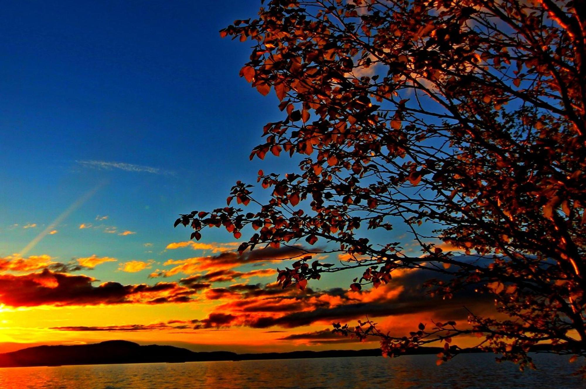 Ukonjaerven Holiday Village Ivalo Quarto foto