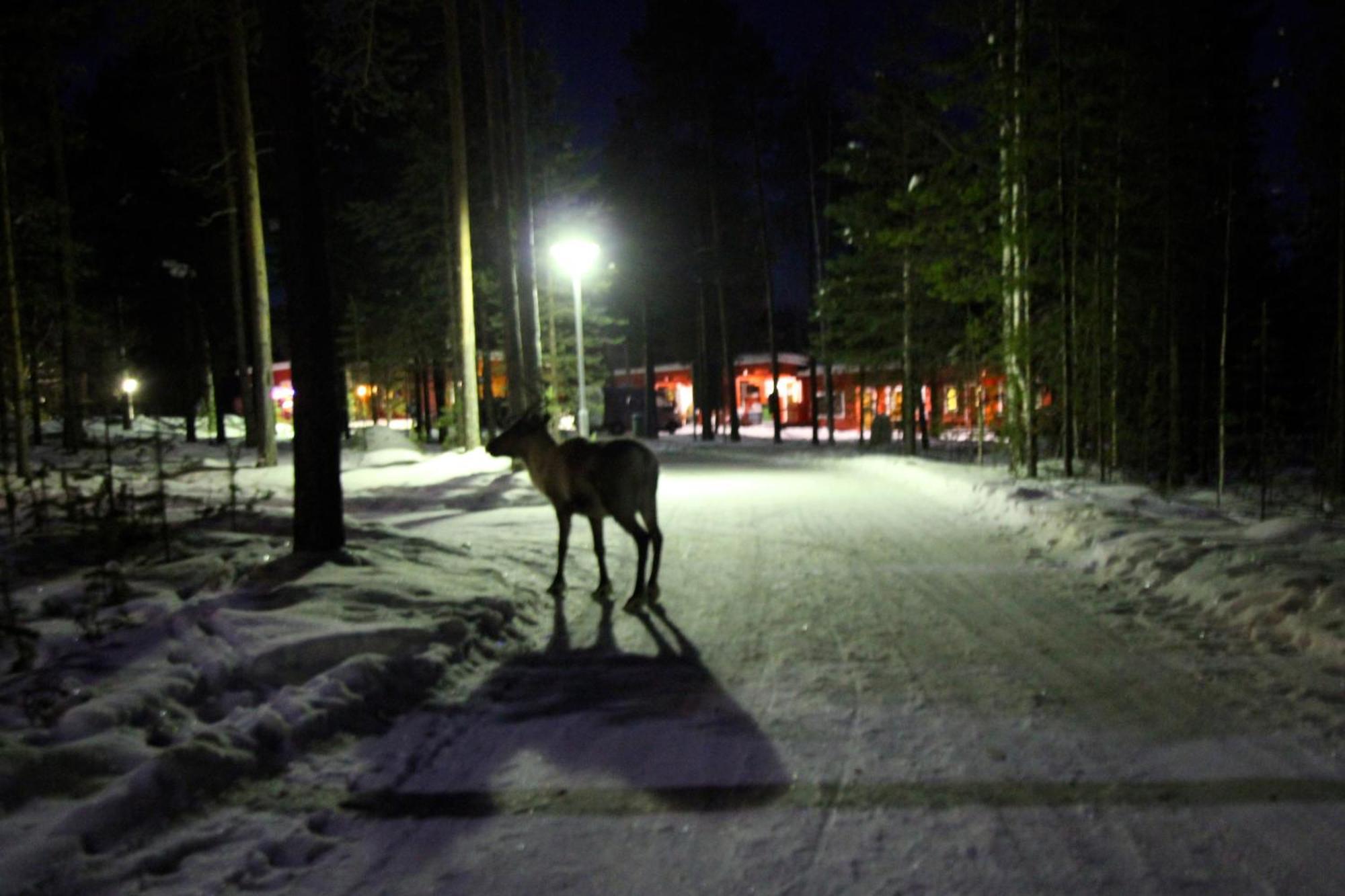 Ukonjaerven Holiday Village Ivalo Exterior foto