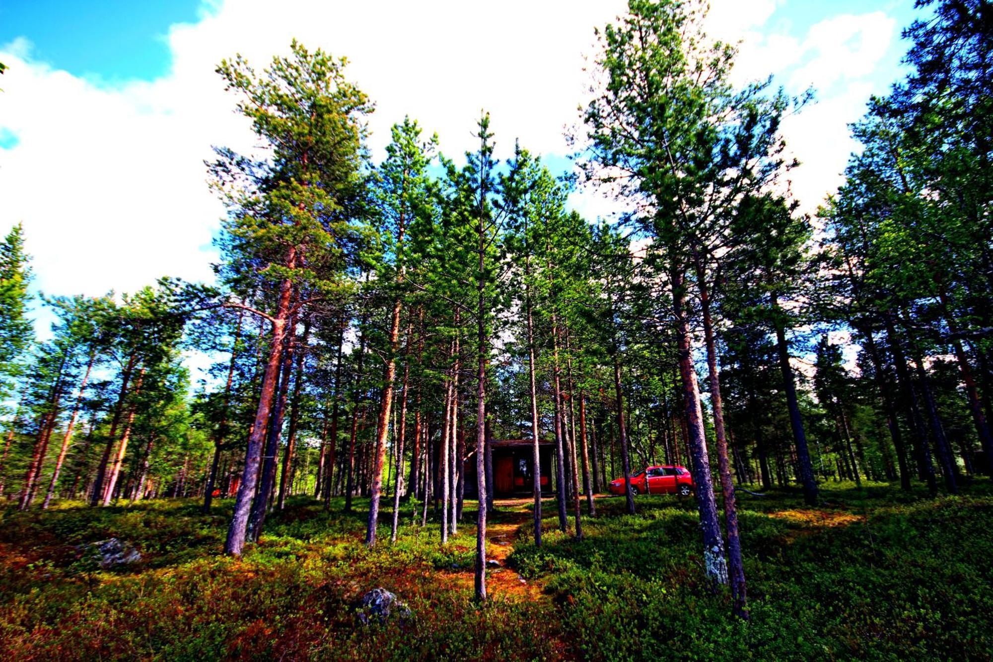 Ukonjaerven Holiday Village Ivalo Quarto foto