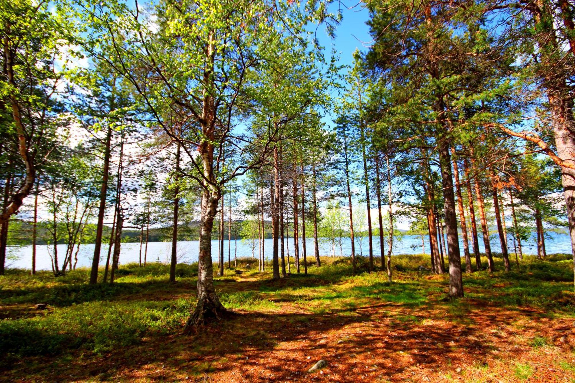 Ukonjaerven Holiday Village Ivalo Quarto foto